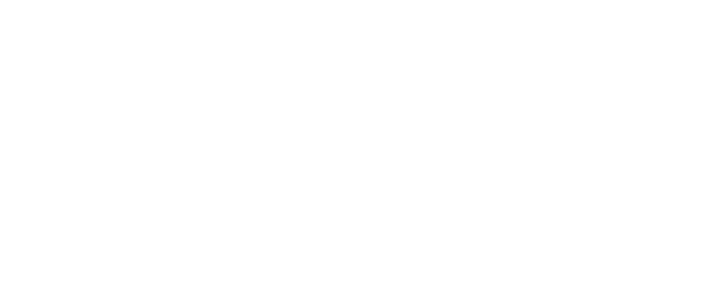 Chestertons Polo In The Park